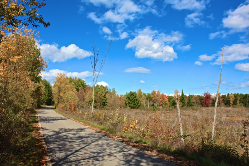 Fred Meijer White Pine Trail State Park - Reed City to Cadillac